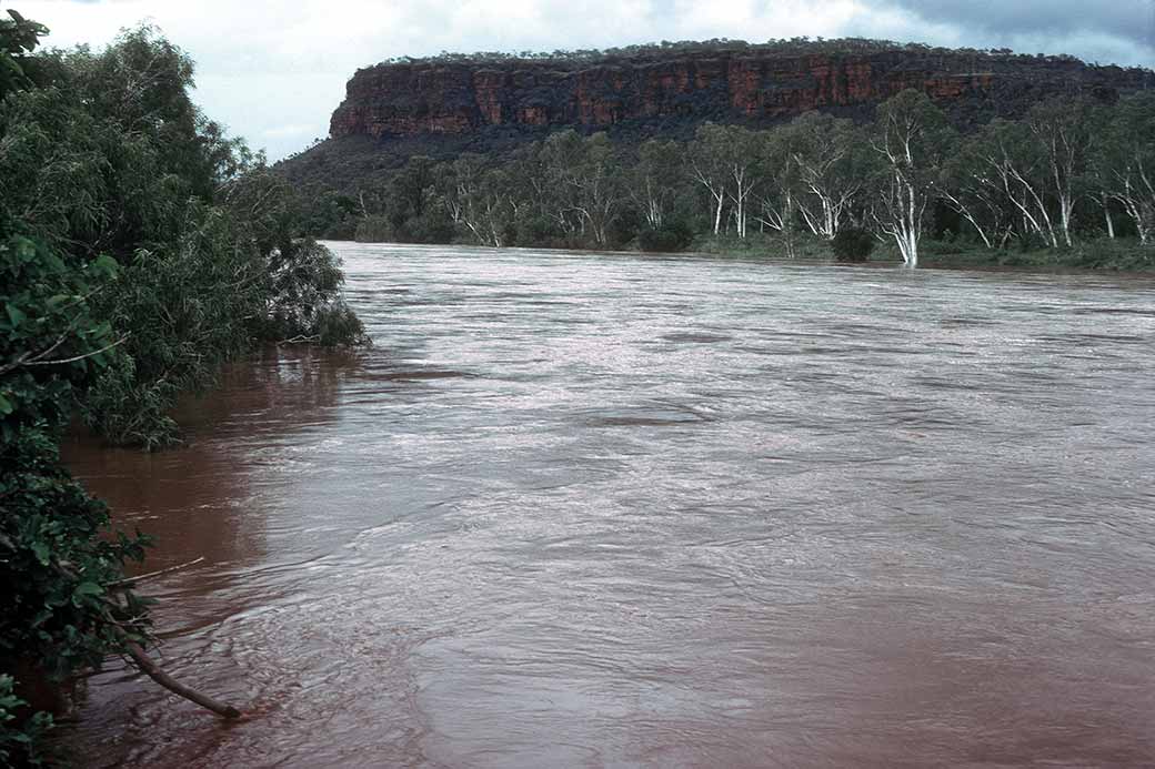 Flood, Victoria River
