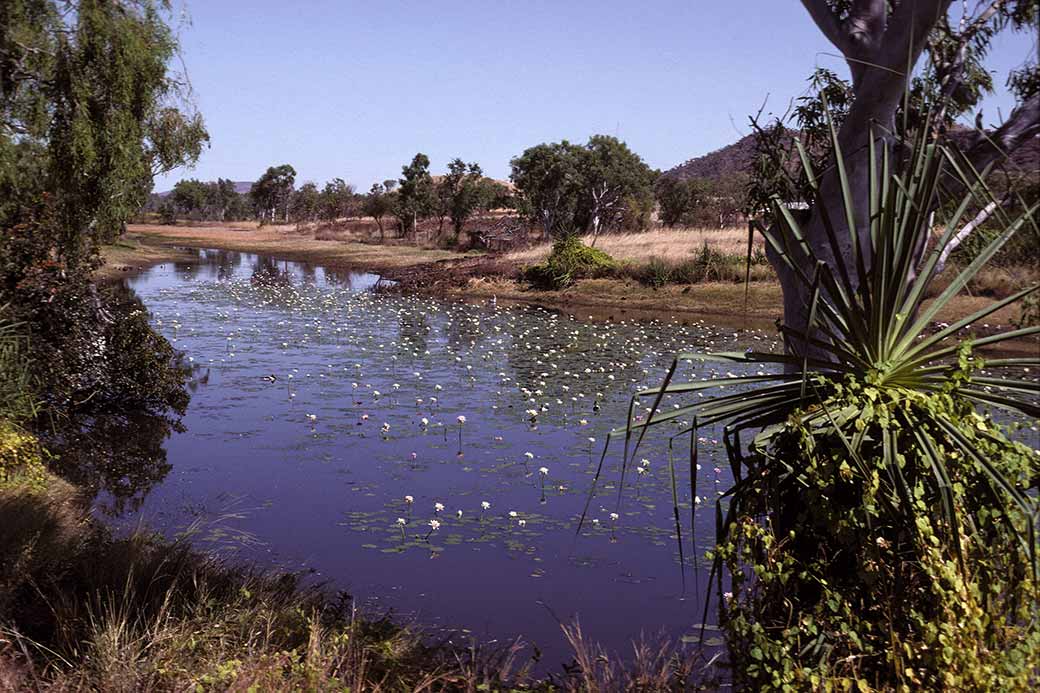 Cockatoo Lagoon