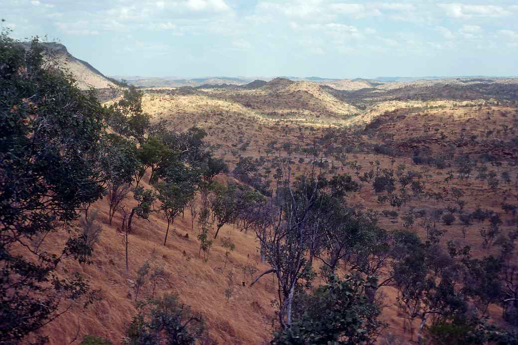 View in King Leopold Ranges Park