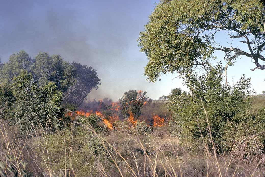 Bushfire at Walkarra