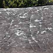 Aboriginal Petroglyphs