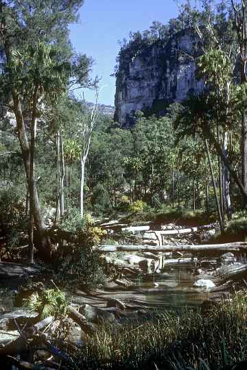 River in Carnarvon Gorge