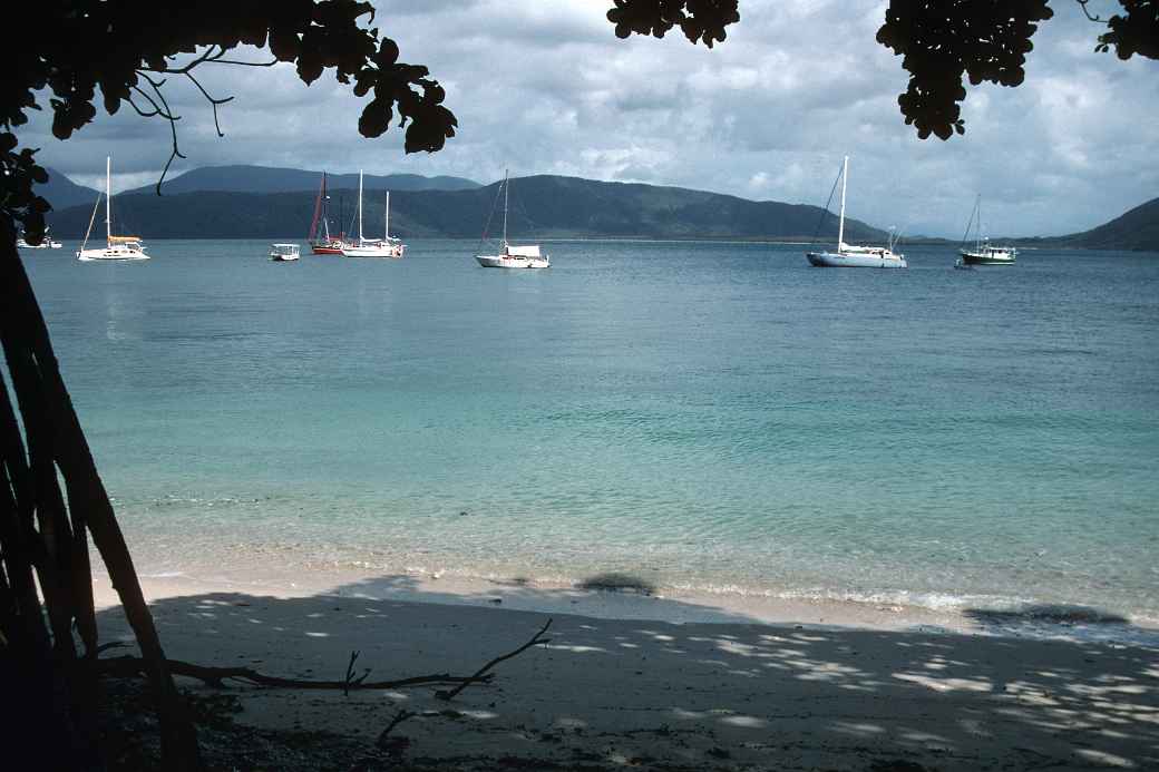 View from Fitzroy Island