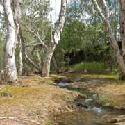 Chillagoe Creek