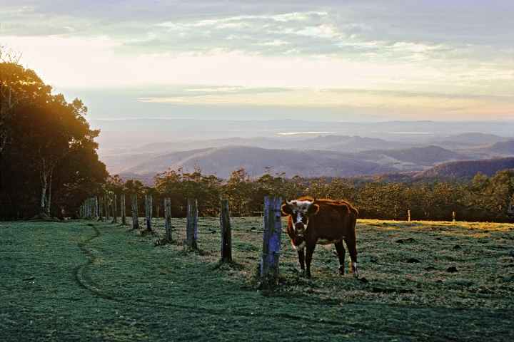 Dawn near Toowoomba