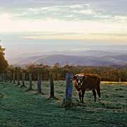 Dawn near Toowoomba