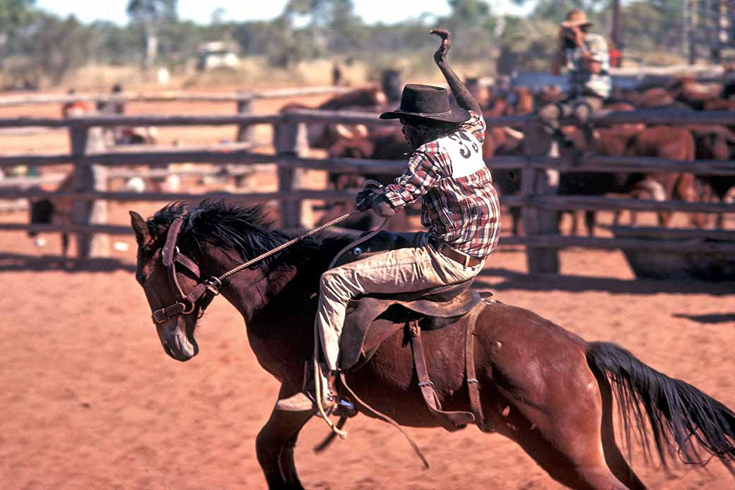 Aboriginal stockman