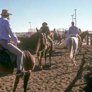 Stockmen on horseback