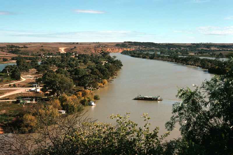 Murray River near Loxton