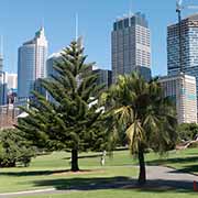 Sydney from the Royal Botanic Garden
