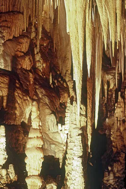 In Hastings Caves