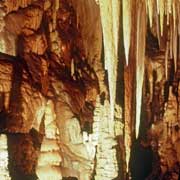 In Hastings Caves