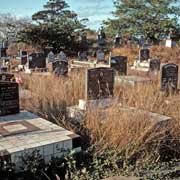 A Murray Island cemetery