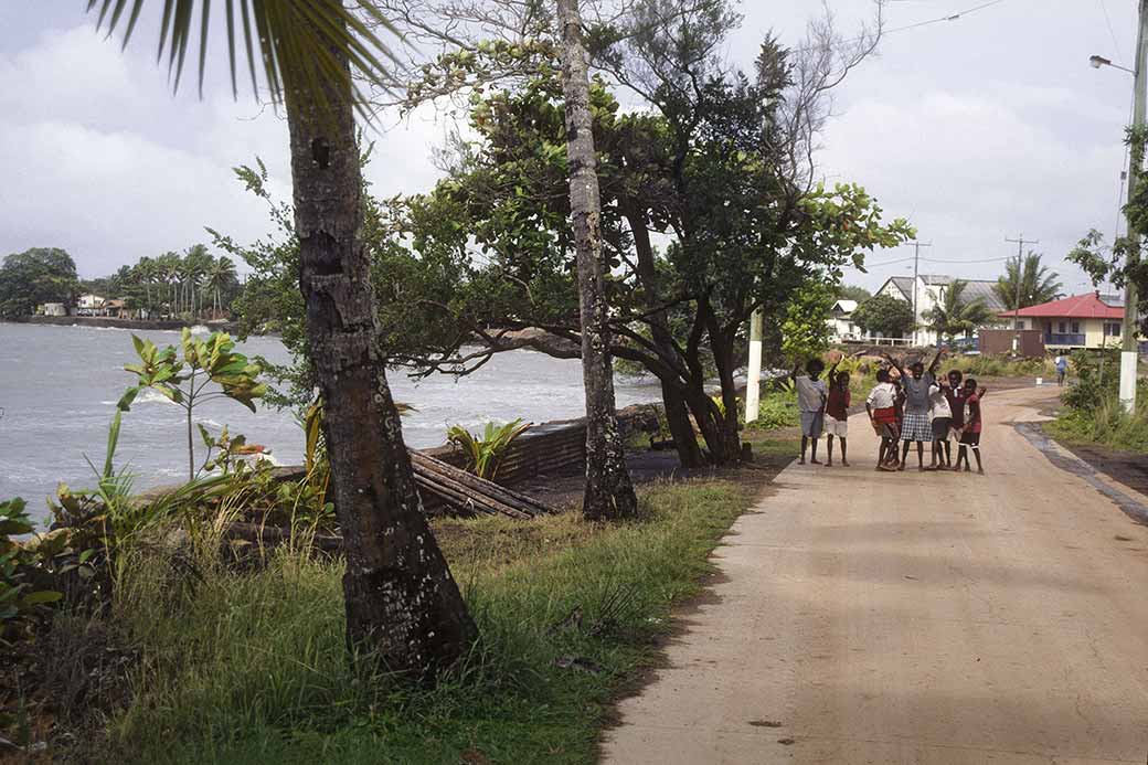 Coastal road, Saibai
