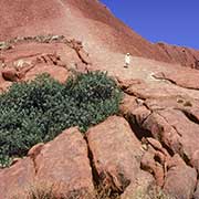 Uluru climb