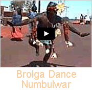 Brolga Dance