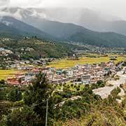 View of Paro