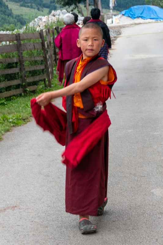 Young novice monk