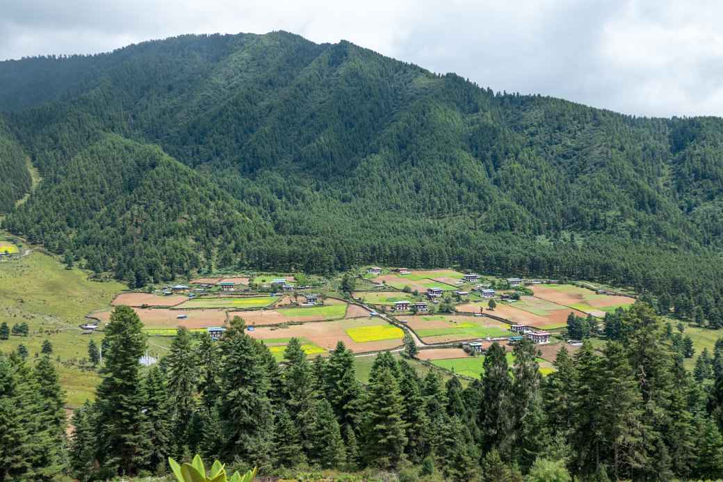 Phobjikha Valley from Gangtey Monastery