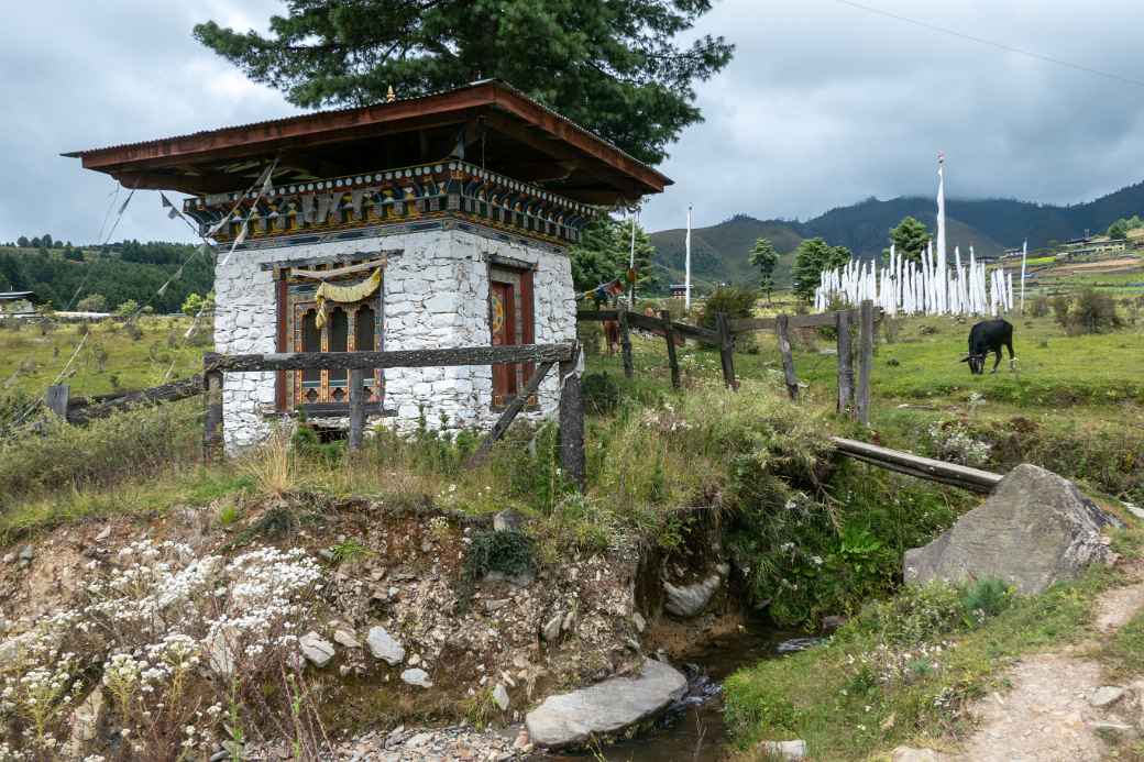 Along Phobjikha Valley Road