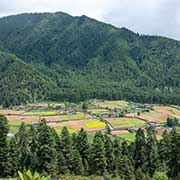 Phobjikha Valley from Gangtey Monastery