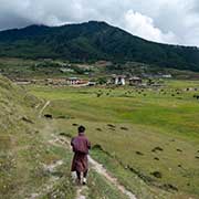 Gangtey Nature Trail in Phobjikha Valley