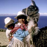 Children with llama