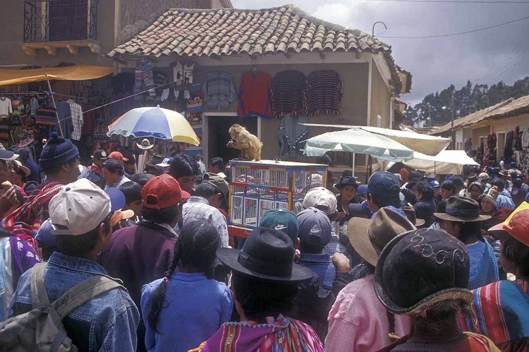 Crowds in Tarabuco