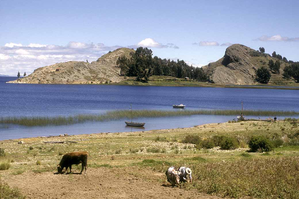 Lago Titicaca near Titicachi