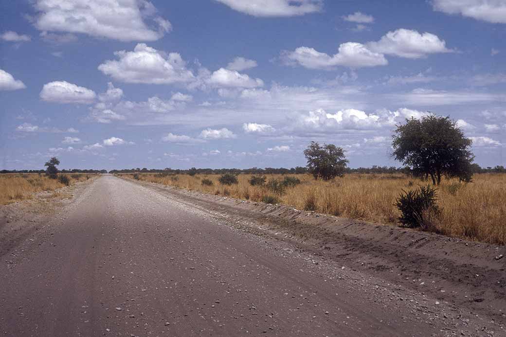 Road between Francistown and Maun
