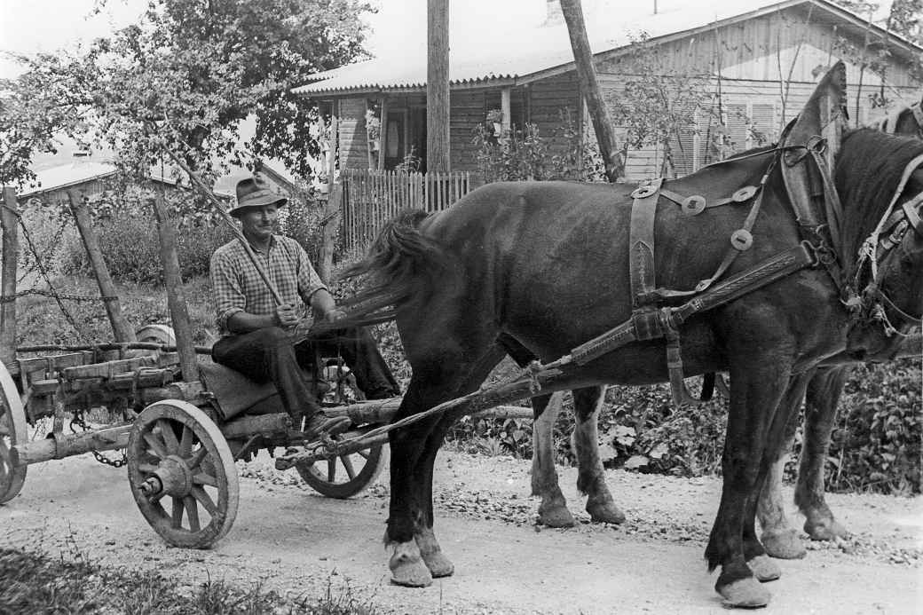 Horse and cart, Samobor