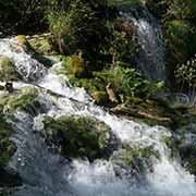 Waterfalls, Plitvice Lakes