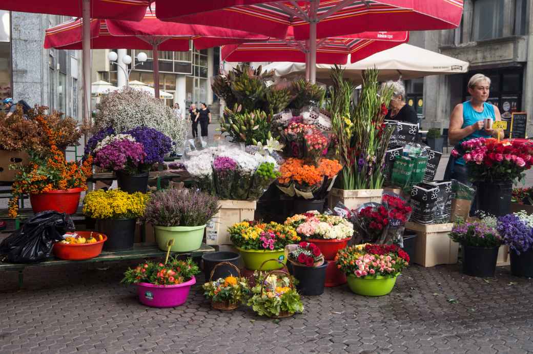 Flowers, Dolac Market