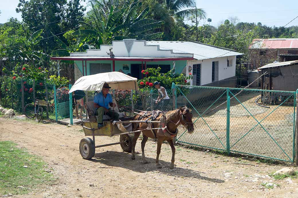 Horse and cart, Carretera Central