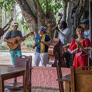Cuban musical group, Finca El Oasis