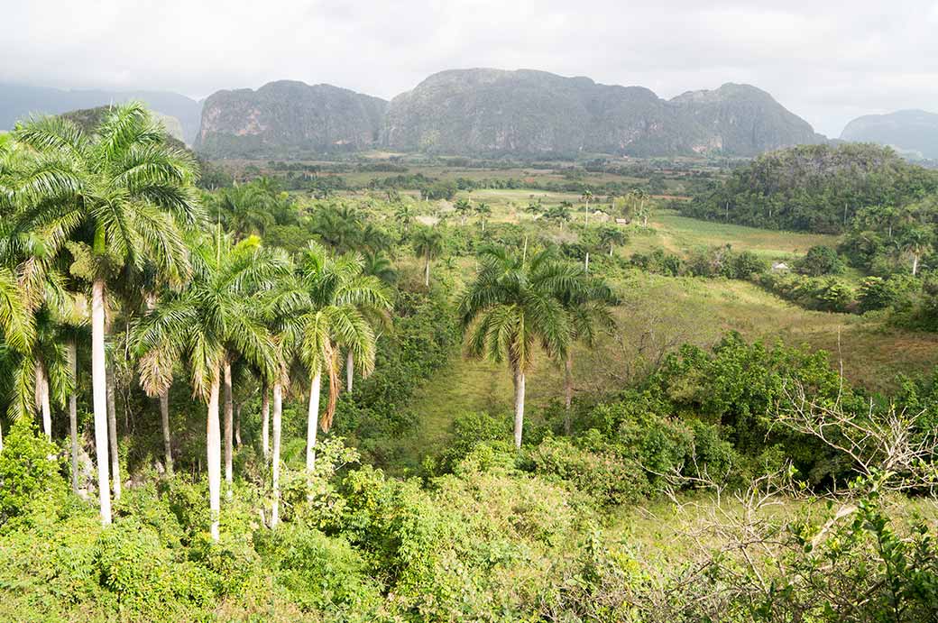 View in Valle de Viñales