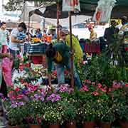 Flower market, North Nicosia