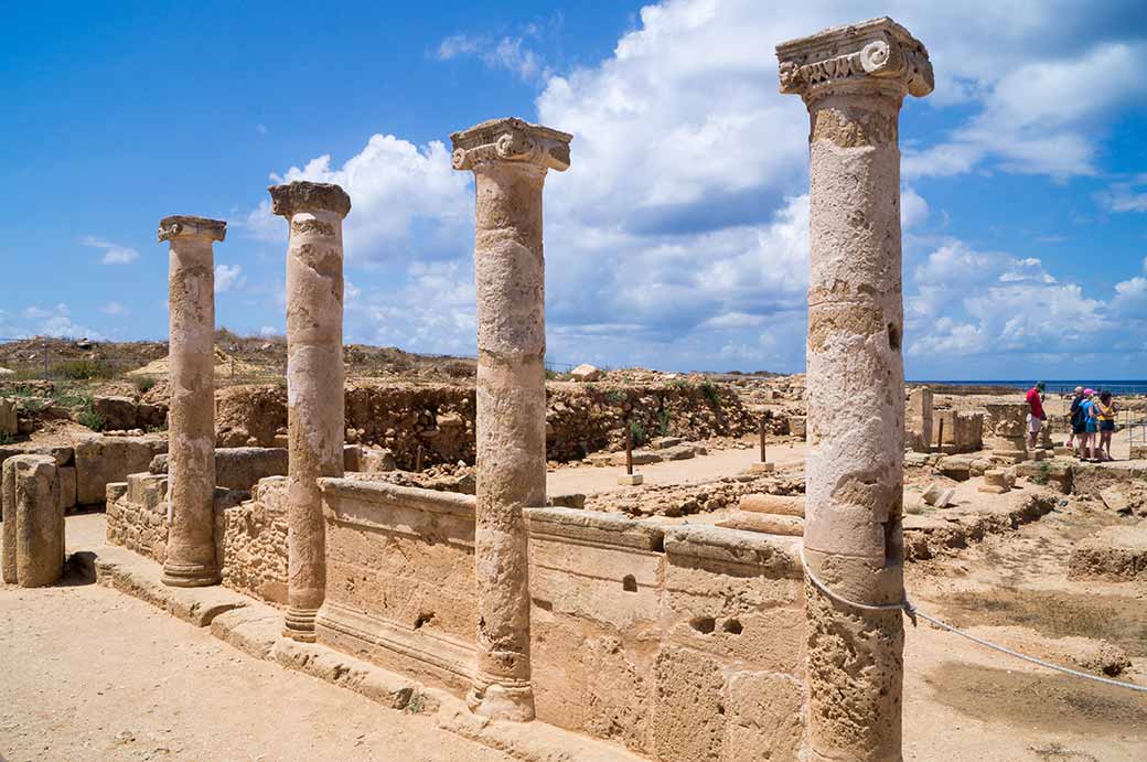 Pillars, House of Theseus