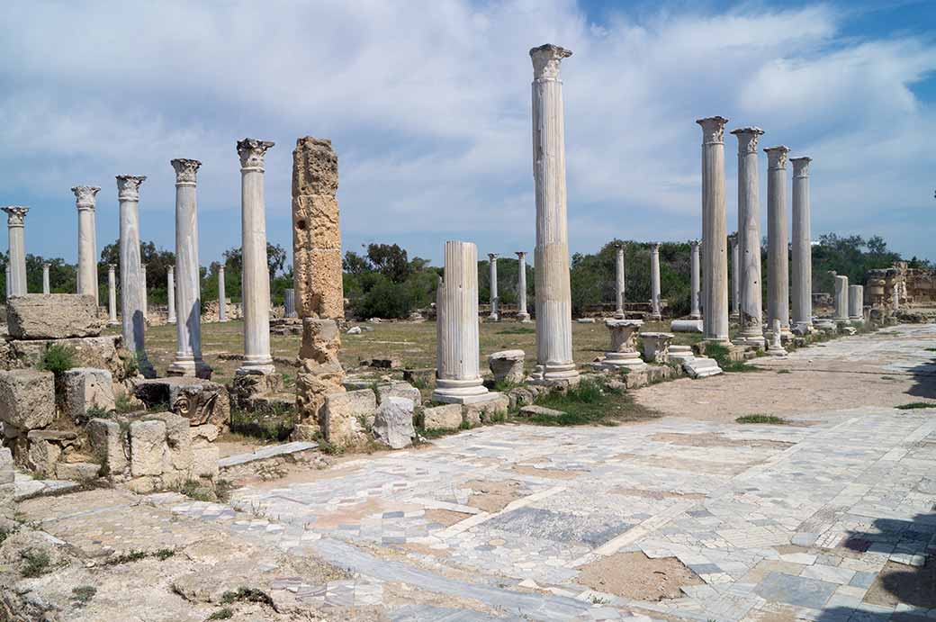Gymnasium court, Salamis