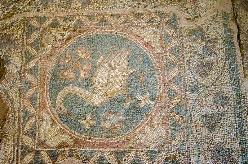 Swan mosaic, Basilica of Soli