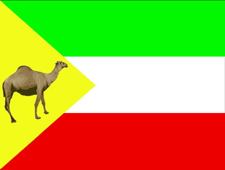 Somali National Regional State, 2008 Flag Ethiopia OzOutback
