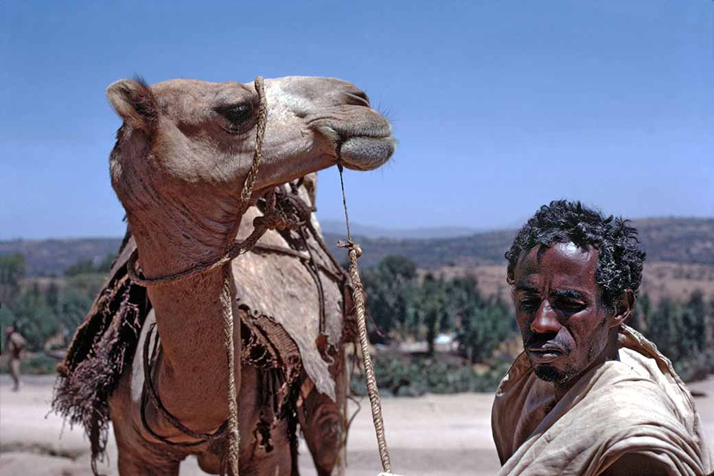 Somali with camel