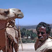Somali with camel