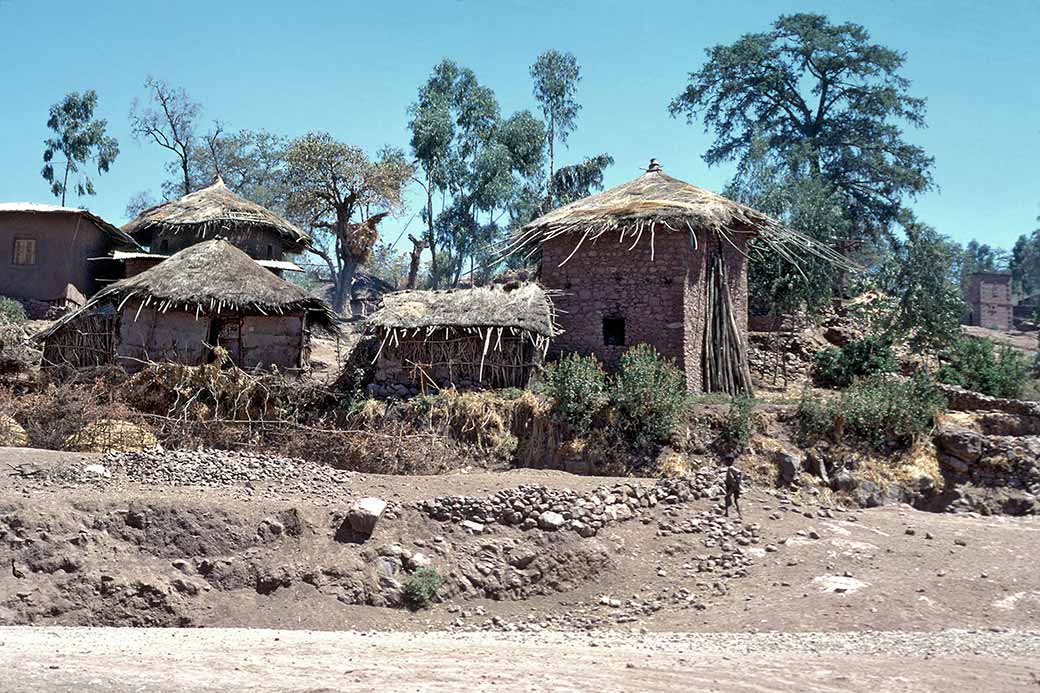 Thatched houses