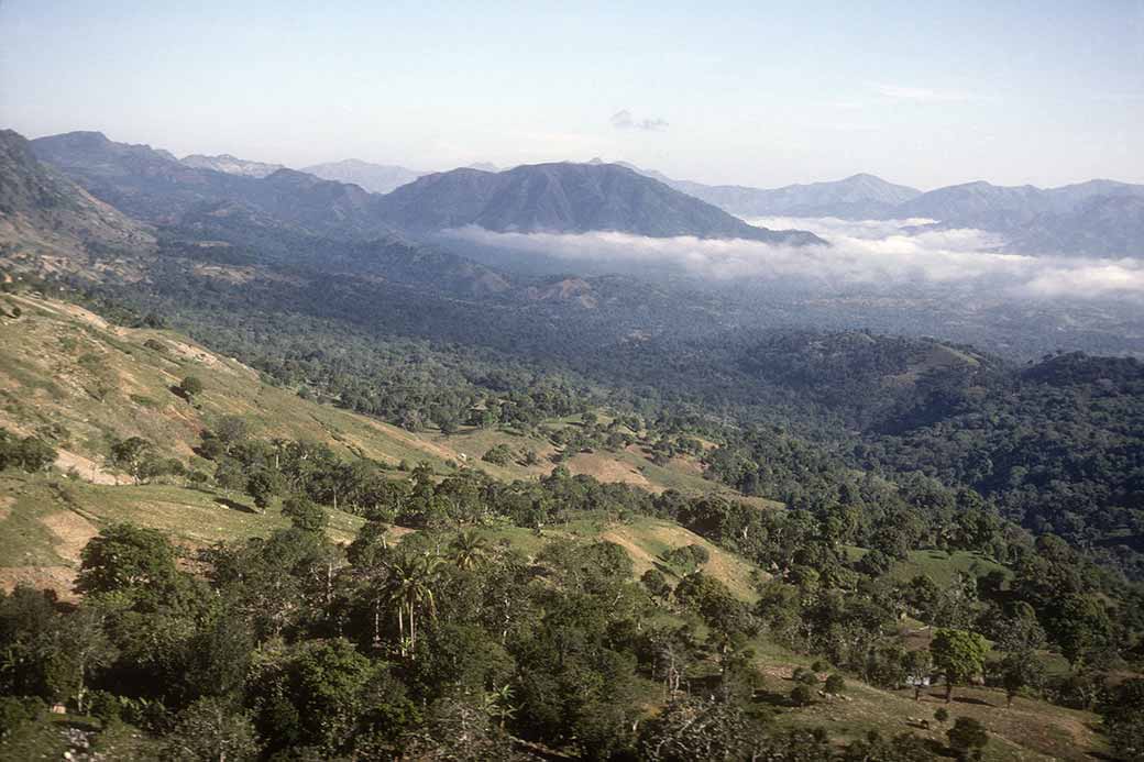 Haitian landscape