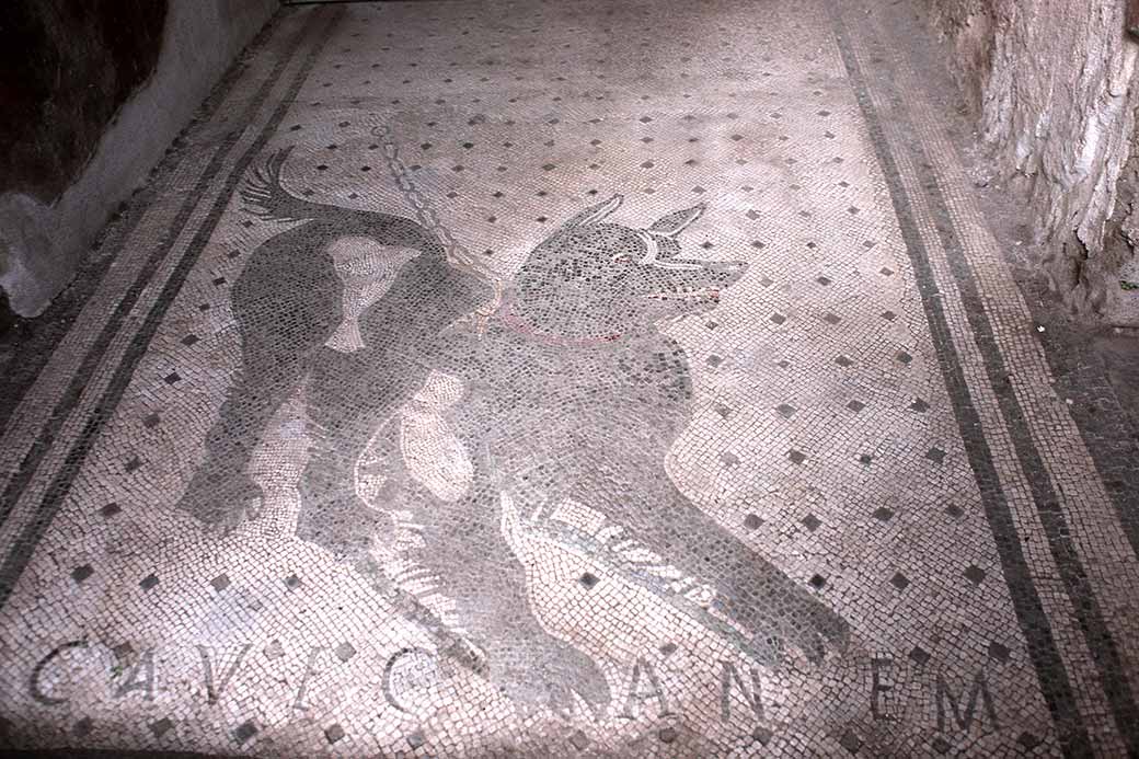 Dog mosaic, Pompeii