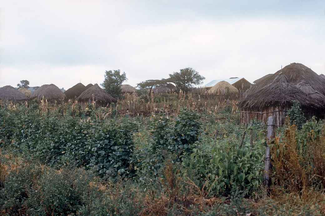 Huts north of Nakuru