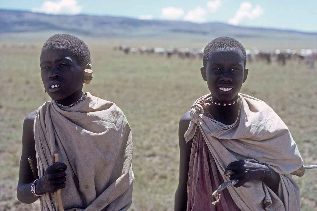 Maasai herd boys