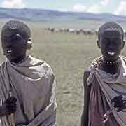 Maasai herd boys