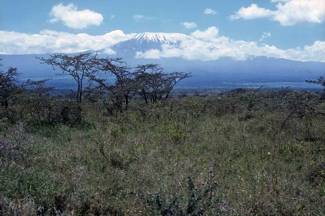 View to Oloitokitok, and Kilimanjaro